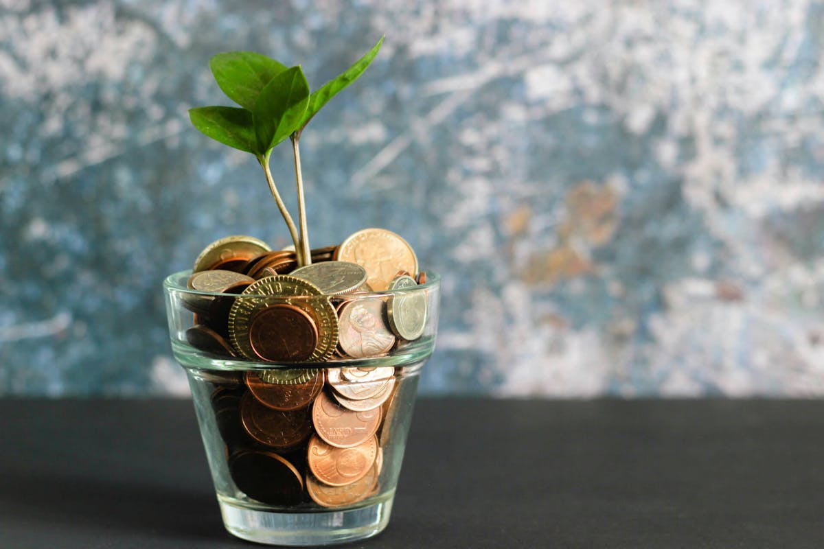 Ein Glas voller Geldmünzen aus dem eine kleine Pflanze ragt, steht auf einem Tisch vor einer marmorierten Tapete. Wir zeigen dir, wie du deine Stückkosten berechnen und deine Preiskalkulation damit verbessern kannst! 